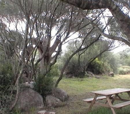 Les Bergeries D'Ogliastrello Βίλα Figari  Εξωτερικό φωτογραφία