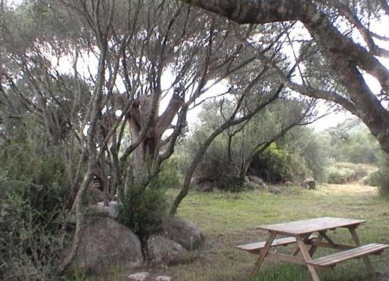 Les Bergeries D'Ogliastrello Βίλα Figari  Εξωτερικό φωτογραφία